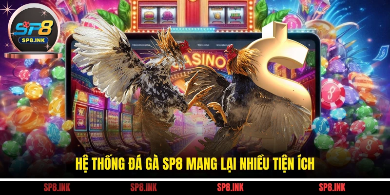 Hệ thống đá gà SP8 mang lại nhiều tiện ích