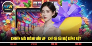 Khuyến Mãi Thành Viên Vip - Chế Độ Đãi Ngộ Riêng Biệt