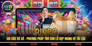 Soi Cầu Xổ Số - Phương Pháp Tìm Con Lô Đẹp Mang Về Tài Lộc