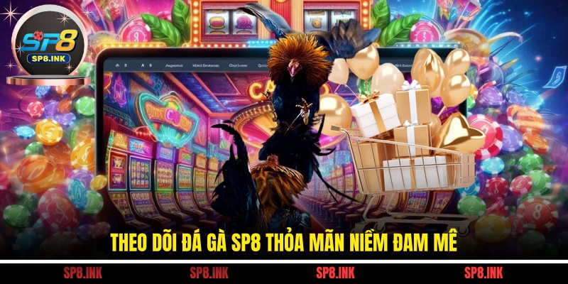 Theo dõi đá gà SP8 thỏa mãn niềm đam mê